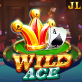Wild Ace VIP slot